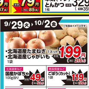 たまねぎ