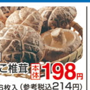 しいたけ