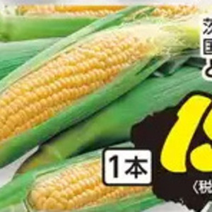 とうもろこし