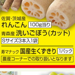 ごぼう