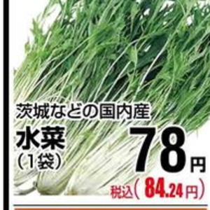 水菜