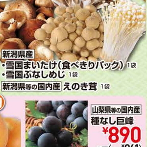 しめじ