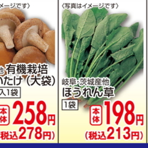 しいたけ