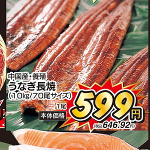 うなぎの蒲焼き