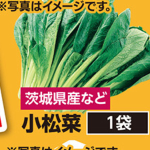 こまつ菜