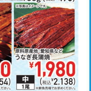 うなぎの蒲焼き
