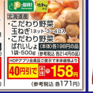 たまねぎ