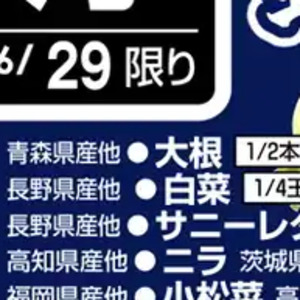 だいこん