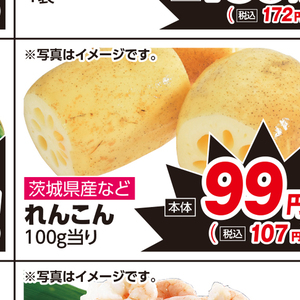 レンコン