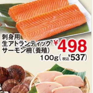 サーモン（さく取り）