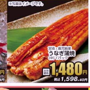 うなぎの蒲焼き