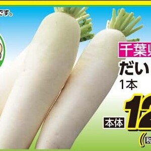 だいこん