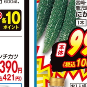 ゴーヤ