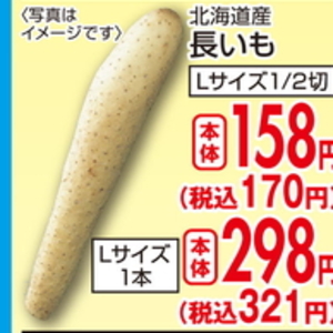 ながいも