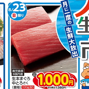 まぐろ中とろ