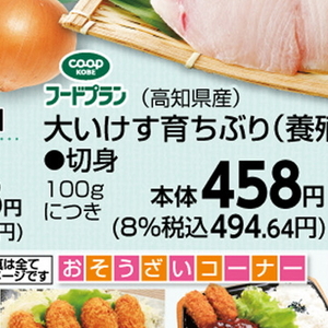 ぶり（切り身）