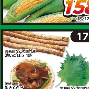 ごぼう