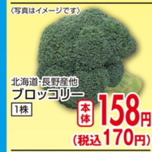 ブロッコリー