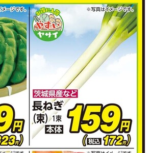 ながねぎ
