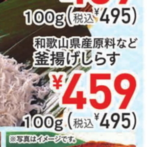 しらす