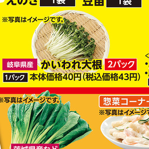 カイワレ大根