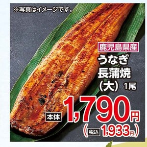 うなぎの蒲焼き