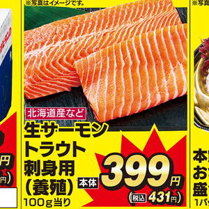 サーモン（刺身）
