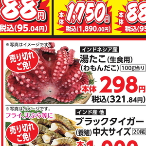 たこ（ボイル）