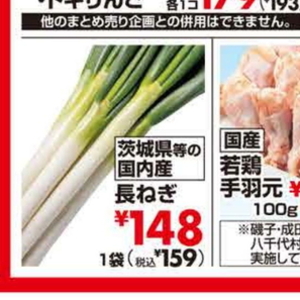 ながねぎ