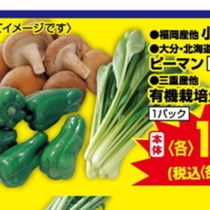 こまつ菜