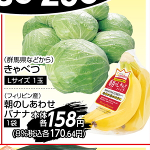 きゃべつ