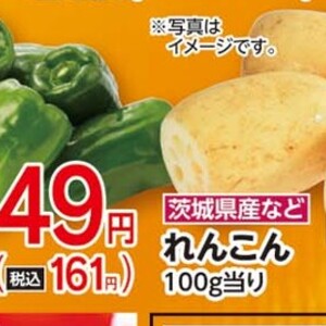 レンコン