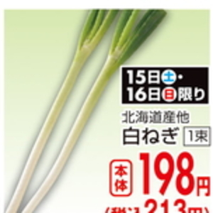 ながねぎ