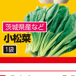 こまつ菜