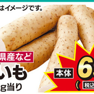 ながいも