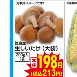 しいたけ