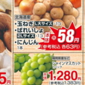 たまねぎ