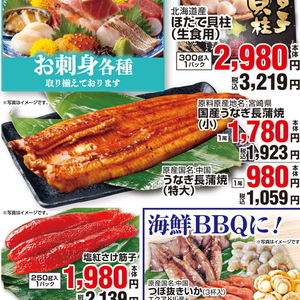 うなぎの蒲焼き