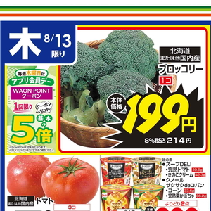 ブロッコリー