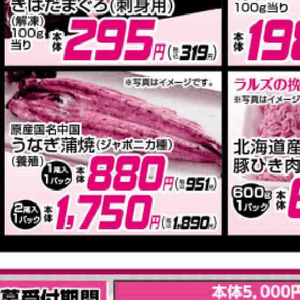うなぎの蒲焼き