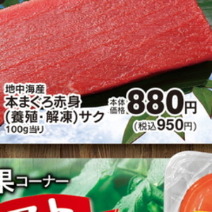 まぐろ中とろ