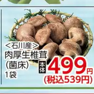 しいたけ