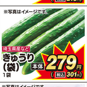 たまねぎ