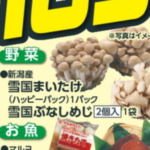 まいたけ