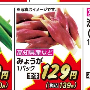 みょうが