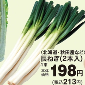 ながねぎ