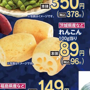 レンコン