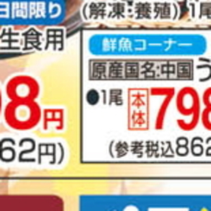 うなぎの蒲焼き