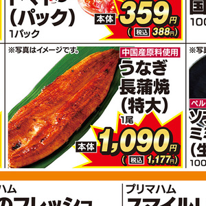 うなぎの蒲焼き