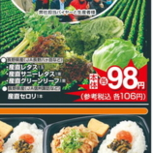 セロリ
